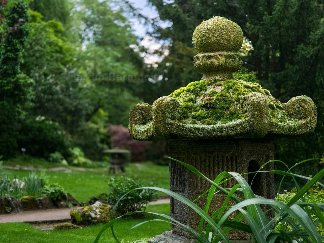 Jardin Harmonie 1