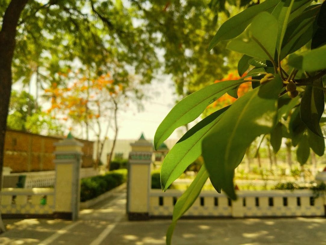 Jardin Harmonie 15