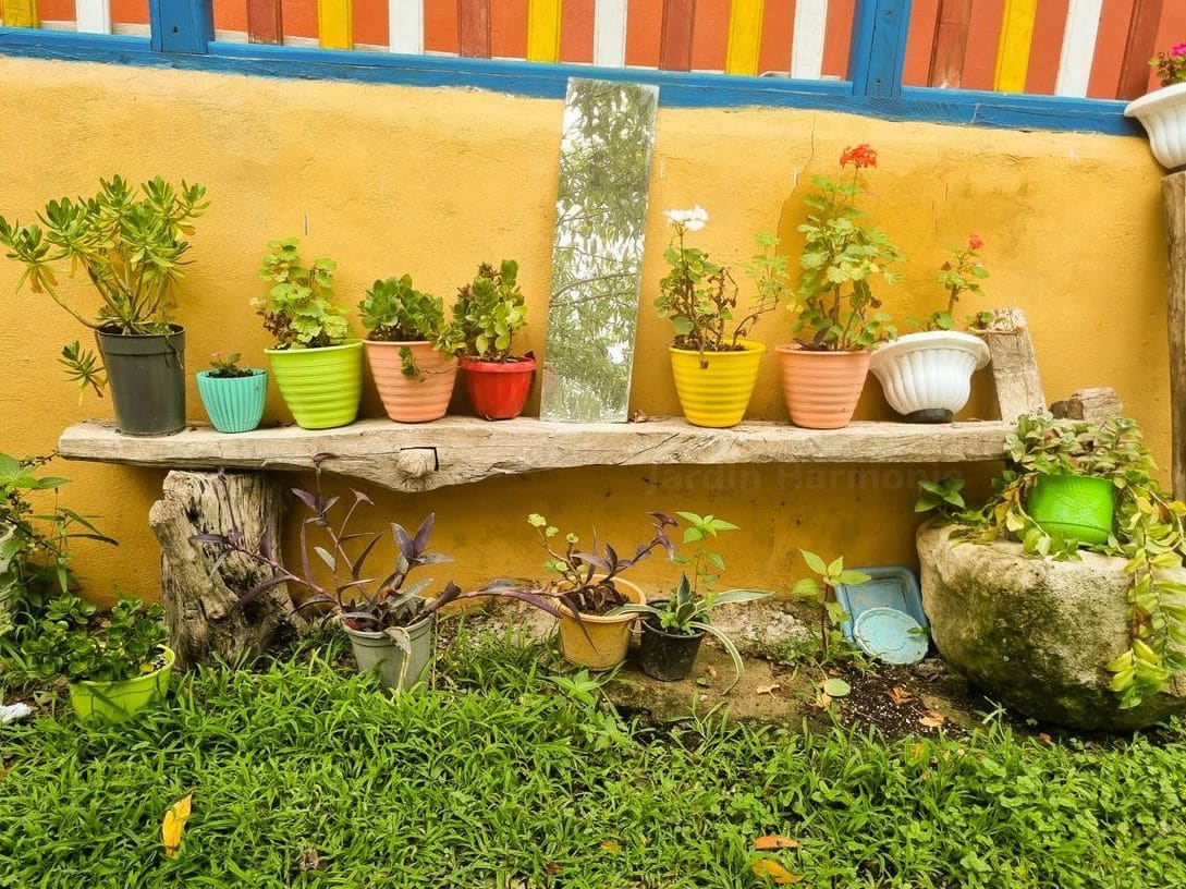 Entretien saisonnier des jardins